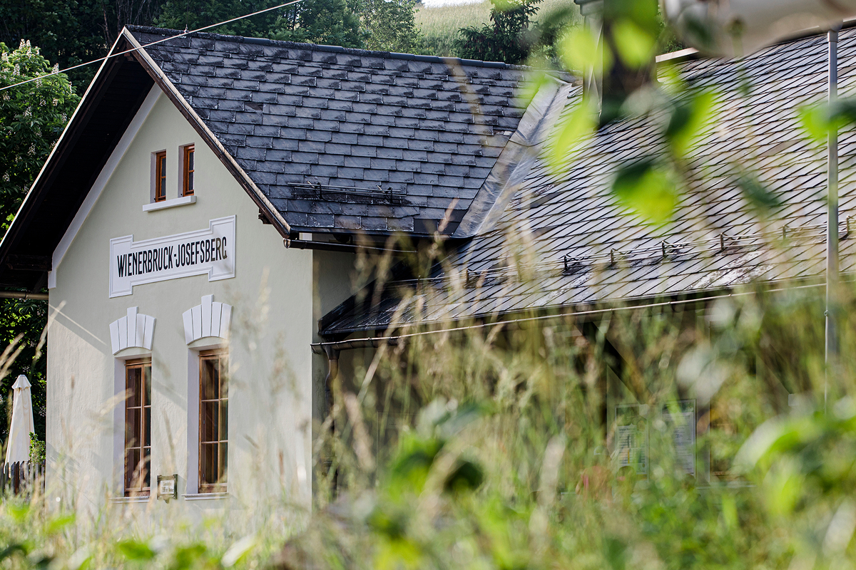 Ein cremefarbenes Gebäude mit einem dunklen Ziegeldach ist teilweise von hohem Gras und grünem Laub verdeckt. Auf einem Schild an dem Gebäude steht WEINGROßRIED - LOISERSBERG. Die Szene ist von Grün umgeben.