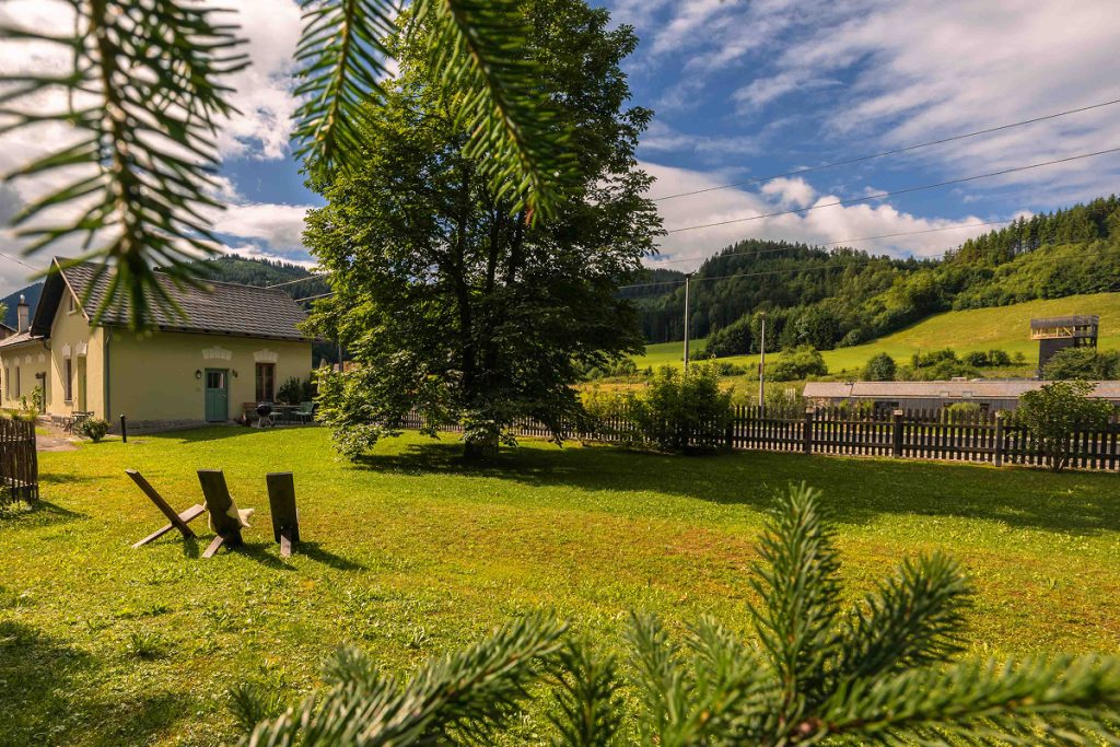 Sonniger ländlicher Hof mit grünem Gras, Holzstühlen, einem großen Baum, einem kleinen Haus und einem Lattenzaun; umgeben von sanften Hügeln, Wald und teilweise bewölktem blauen Himmel, mit Kiefernzweigen im Vordergrund.